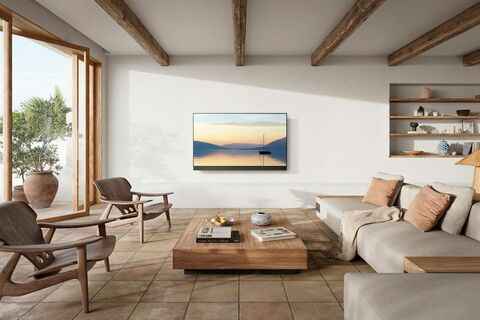 Panasonic OLED 4K televizor TV-55Z90AEG