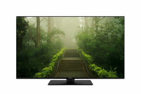 Panasonic TB-43W60AEZ