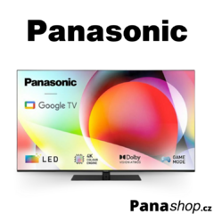 panasonic-2.png